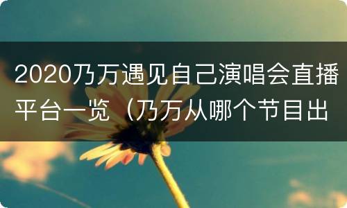 2020乃万遇见自己演唱会直播平台一览（乃万从哪个节目出来的）