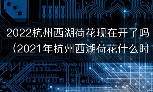 2022杭州西湖荷花现在开了吗（2021年杭州西湖荷花什么时候开）