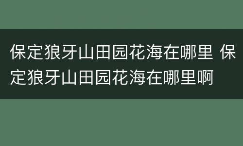 保定狼牙山田园花海在哪里 保定狼牙山田园花海在哪里啊