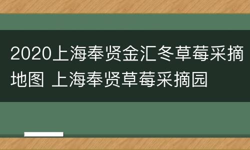 2020上海奉贤金汇冬草莓采摘地图 上海奉贤草莓采摘园