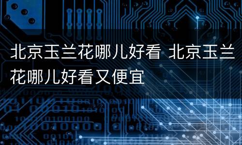 北京玉兰花哪儿好看 北京玉兰花哪儿好看又便宜