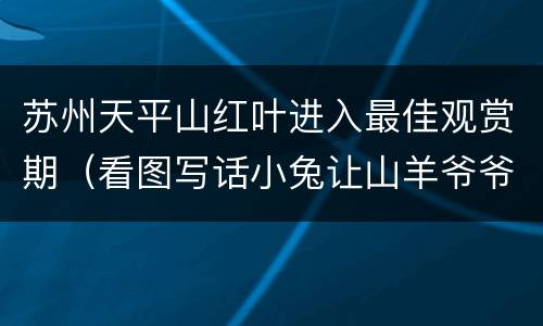 苏州天平山红叶进入最佳观赏期（看图写话小兔让山羊爷爷过桥）