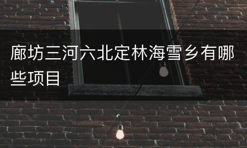 廊坊三河六北定林海雪乡有哪些项目