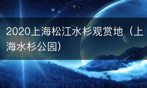2020上海松江水杉观赏地（上海水杉公园）