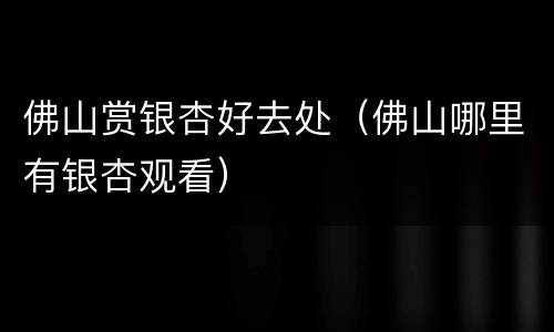 佛山赏银杏好去处（佛山哪里有银杏观看）