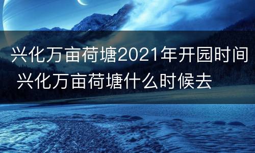 兴化万亩荷塘2021年开园时间 兴化万亩荷塘什么时候去