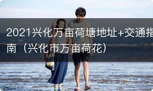 2021兴化万亩荷塘地址+交通指南（兴化市万亩荷花）