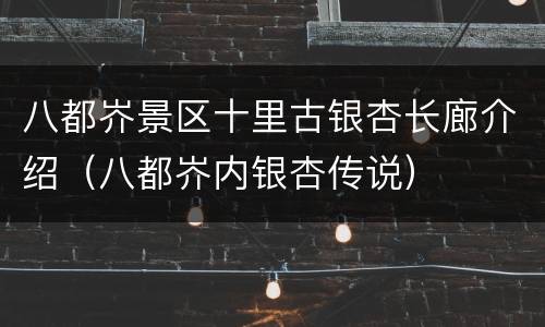 八都岕景区十里古银杏长廊介绍（八都岕内银杏传说）