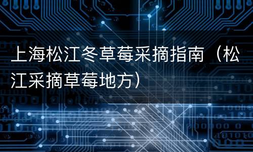 上海松江冬草莓采摘指南（松江采摘草莓地方）