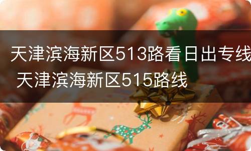 天津滨海新区513路看日出专线 天津滨海新区515路线