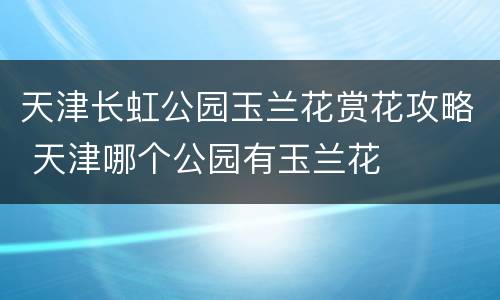 天津长虹公园玉兰花赏花攻略 天津哪个公园有玉兰花