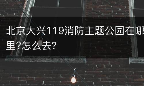 北京大兴119消防主题公园在哪里?怎么去？