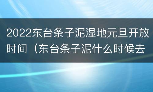 2022东台条子泥湿地元旦开放时间（东台条子泥什么时候去）
