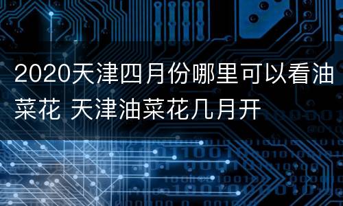2020天津四月份哪里可以看油菜花 天津油菜花几月开