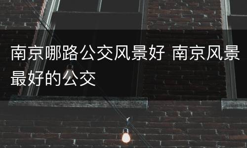 南京哪路公交风景好 南京风景最好的公交