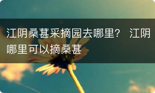 江阴桑葚采摘园去哪里？ 江阴哪里可以摘桑葚