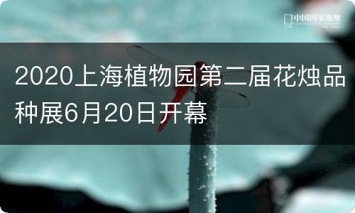 2020上海植物园第二届花烛品种展6月20日开幕