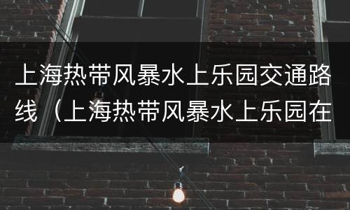 上海热带风暴水上乐园交通路线（上海热带风暴水上乐园在哪）