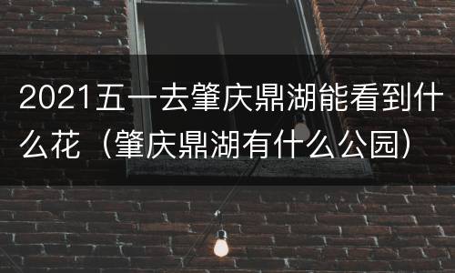2021五一去肇庆鼎湖能看到什么花（肇庆鼎湖有什么公园）