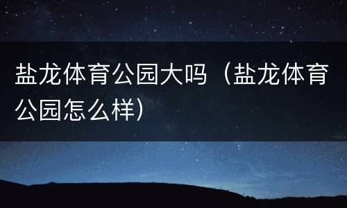 盐龙体育公园大吗（盐龙体育公园怎么样）