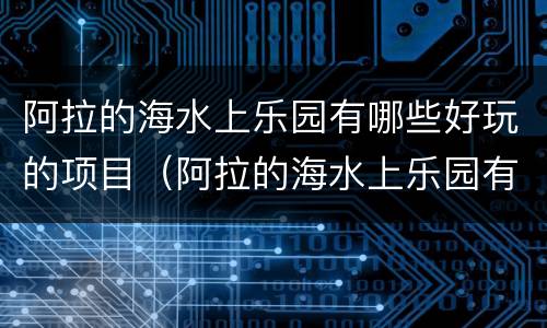 阿拉的海水上乐园有哪些好玩的项目（阿拉的海水上乐园有什么项目）