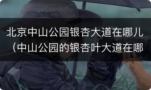 北京中山公园银杏大道在哪儿（中山公园的银杏叶大道在哪里）