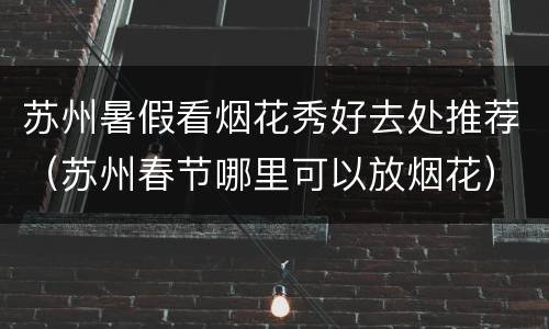 苏州暑假看烟花秀好去处推荐（苏州春节哪里可以放烟花）