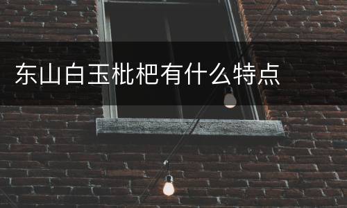 东山白玉枇杷有什么特点