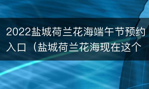 2022盐城荷兰花海端午节预约入口（盐城荷兰花海现在这个季节开放吗）