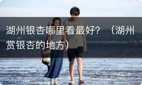 湖州银杏哪里看最好？（湖州赏银杏的地方）