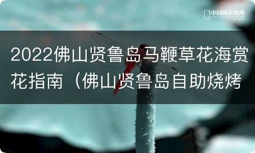 2022佛山贤鲁岛马鞭草花海赏花指南（佛山贤鲁岛自助烧烤）