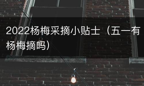 2022杨梅采摘小贴士（五一有杨梅摘吗）