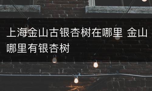 上海金山古银杏树在哪里 金山哪里有银杏树
