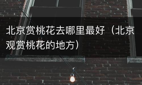 北京赏桃花去哪里最好（北京观赏桃花的地方）