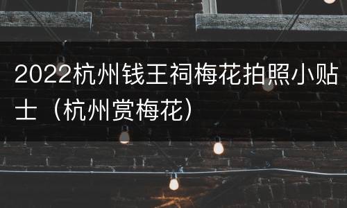 2022杭州钱王祠梅花拍照小贴士（杭州赏梅花）