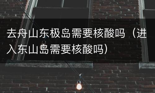 去舟山东极岛需要核酸吗（进入东山岛需要核酸吗）