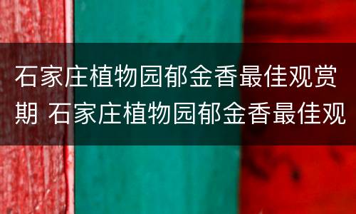石家庄植物园郁金香最佳观赏期 石家庄植物园郁金香最佳观赏期多少天