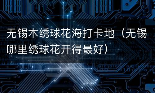 无锡木绣球花海打卡地（无锡哪里绣球花开得最好）