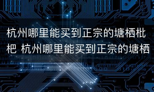 杭州哪里能买到正宗的塘栖枇杷 杭州哪里能买到正宗的塘栖枇杷苗