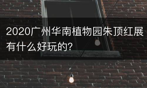 2020广州华南植物园朱顶红展有什么好玩的？