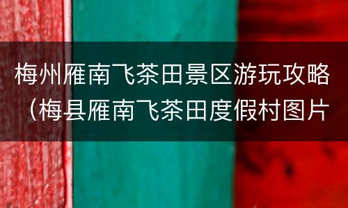 梅州雁南飞茶田景区游玩攻略（梅县雁南飞茶田度假村图片）