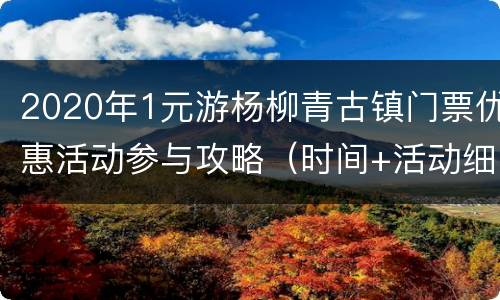 2020年1元游杨柳青古镇门票优惠活动参与攻略（时间+活动细则）
