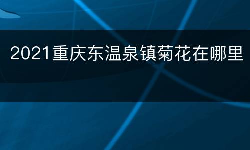 2021重庆东温泉镇菊花在哪里