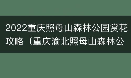 2022重庆照母山森林公园赏花攻略（重庆渝北照母山森林公园）