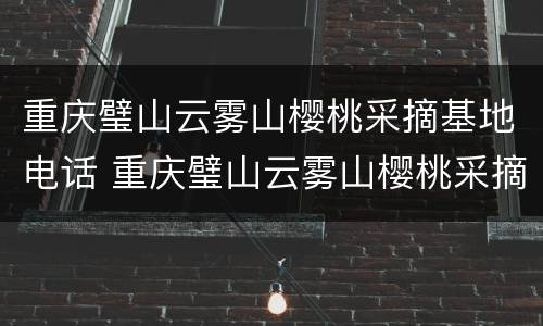 重庆璧山云雾山樱桃采摘基地电话 重庆璧山云雾山樱桃采摘基地电话号码