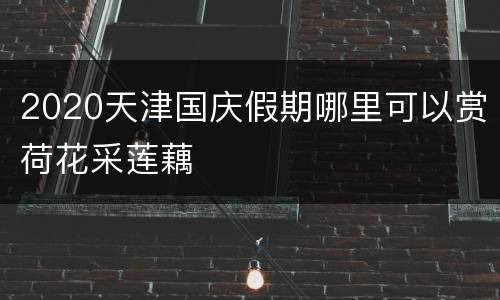 2020天津国庆假期哪里可以赏荷花采莲藕