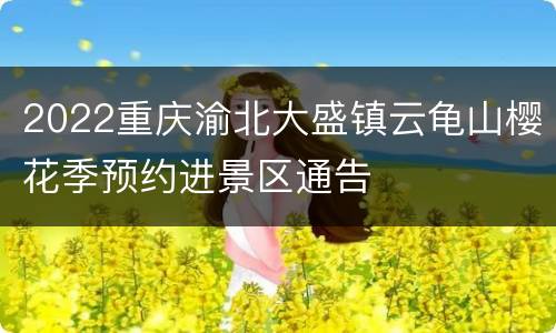 2022重庆渝北大盛镇云龟山樱花季预约进景区通告