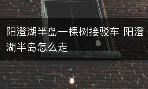 阳澄湖半岛一棵树接驳车 阳澄湖半岛怎么走