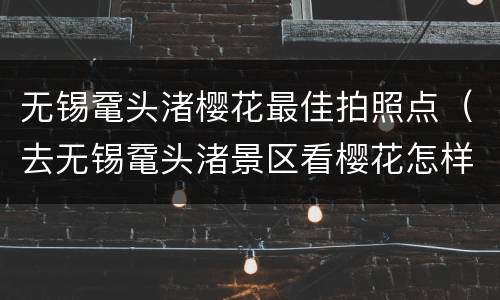 无锡鼋头渚樱花最佳拍照点（去无锡鼋头渚景区看樱花怎样预约）