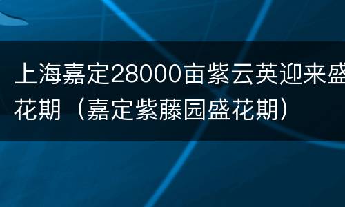 上海嘉定28000亩紫云英迎来盛花期（嘉定紫藤园盛花期）